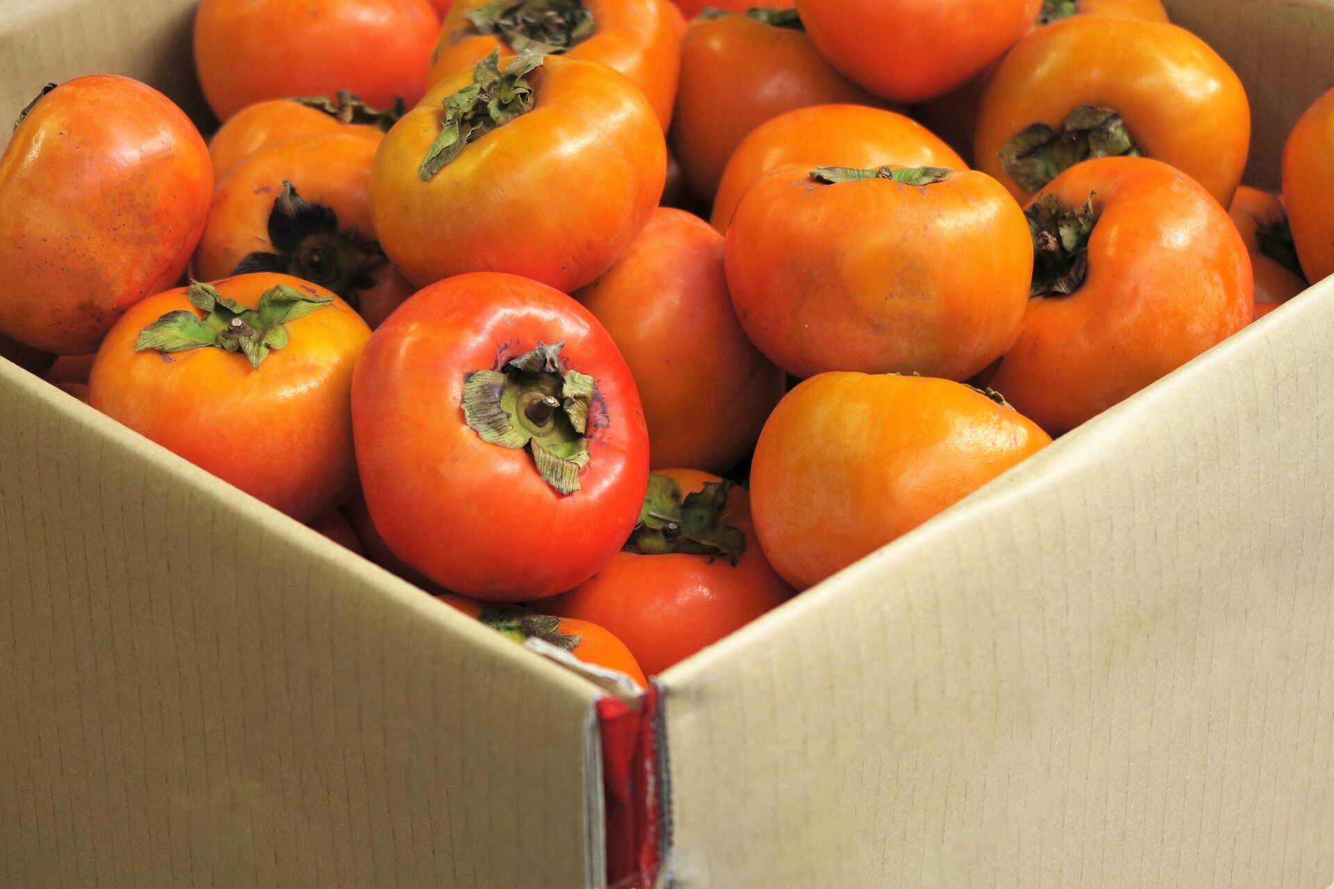 persimmon-g57eee556b_1920